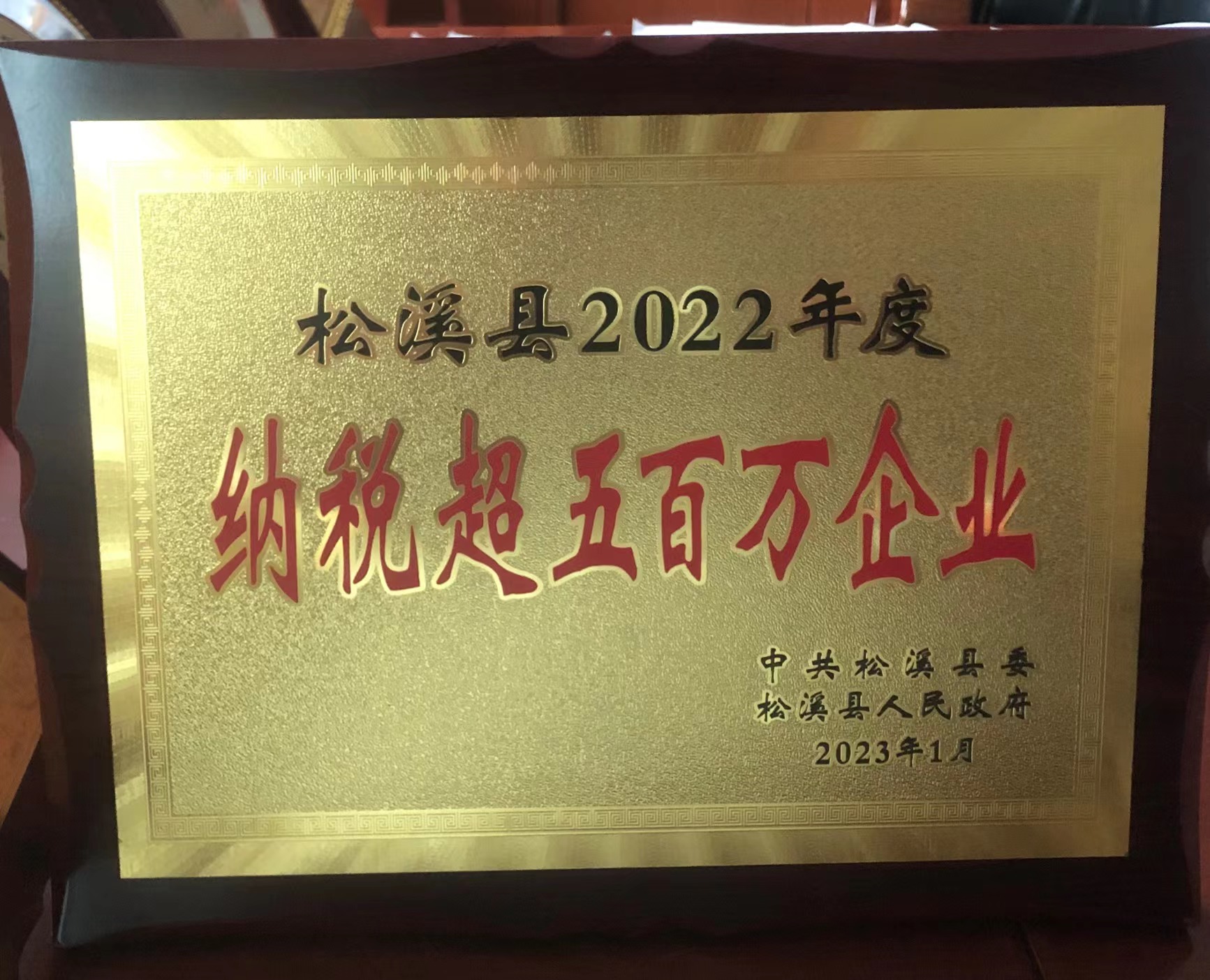 喜報(bào)！易順建工集團(tuán)喜獲“松溪縣2022年度納稅超五百萬企業(yè)”榮譽(yù)