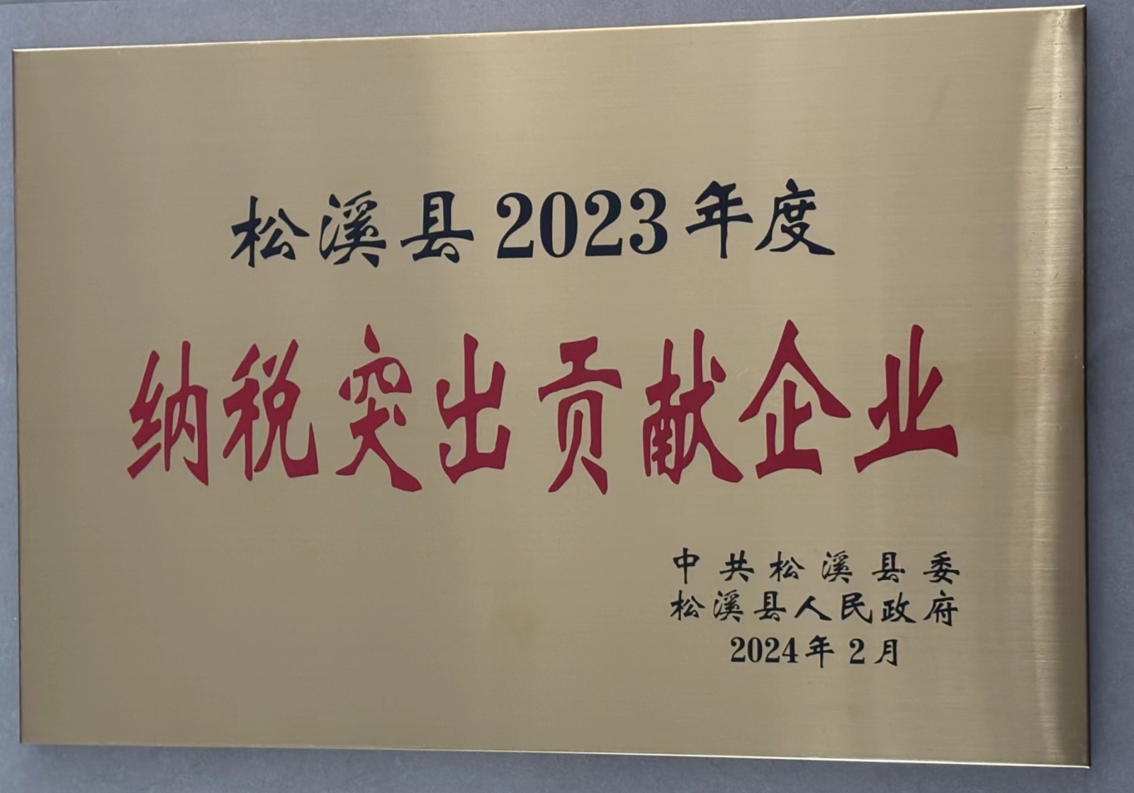 喜報！易順建工集團榮獲“松溪縣2023年度納稅突出貢獻企業(yè)”稱號