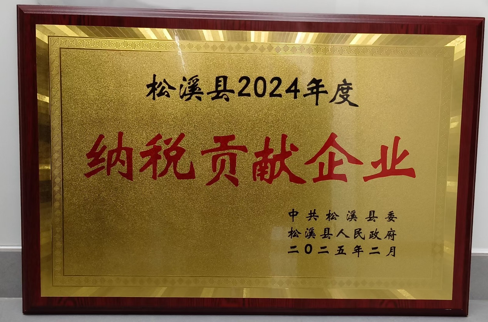 喜報(bào)！易順建工集團(tuán)榮獲“松溪縣2024年度納稅貢獻(xiàn)企業(yè)”稱號(hào)