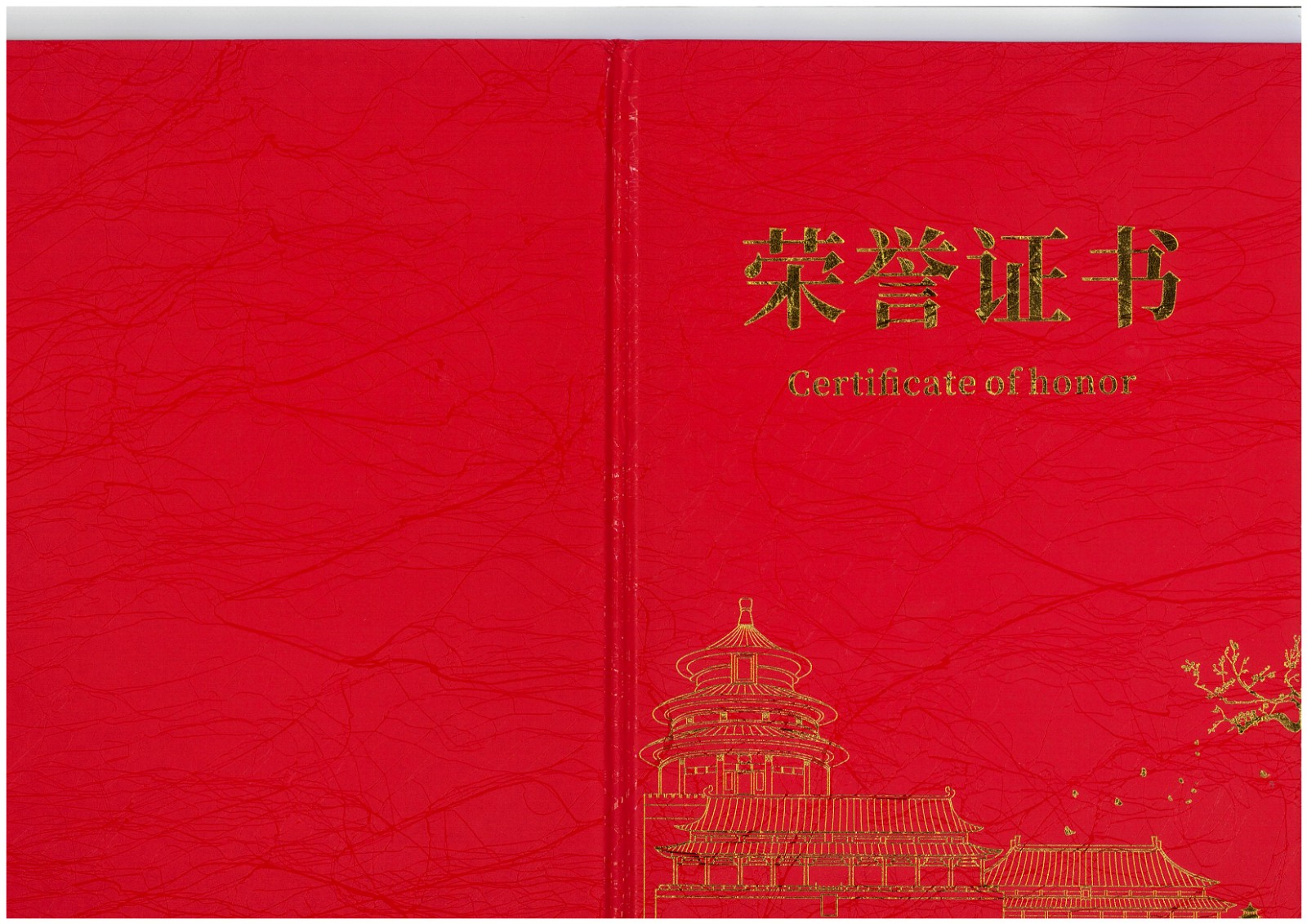 熱烈祝賀！易順建工集團(tuán)喜獲 2025 年南平市“安全生產(chǎn)月” 安全知識競賽團(tuán)隊(duì)三等獎